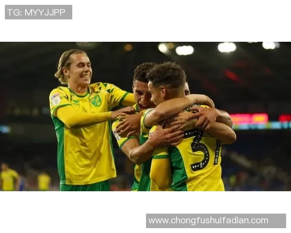 南京足球队与武汉足球队赛后复盘团队协作分析与战术探讨