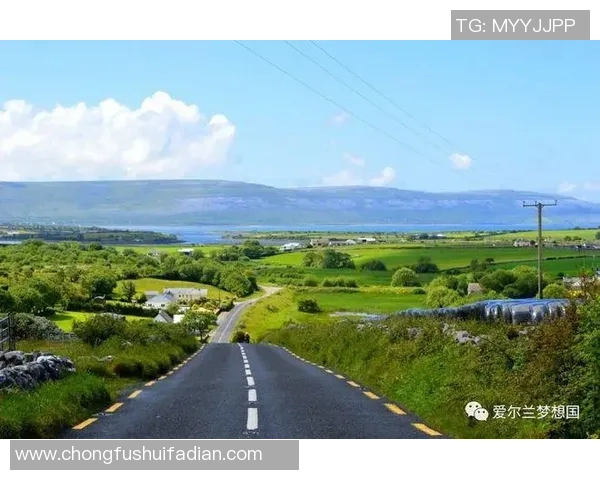 足球明星在异国他乡的生活点滴与文化碰撞探秘